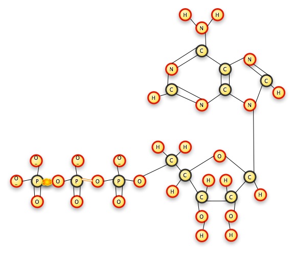 ATP2