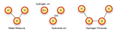 Water molecule