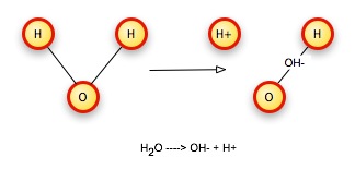 water reaction